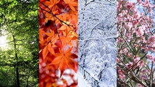 Seasons